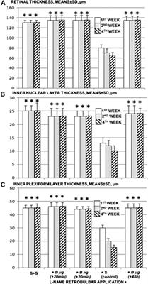 BPC 157 as a Therapy for Retinal Ischemia Induced by Retrobulbar Application of L-NAME in Rats